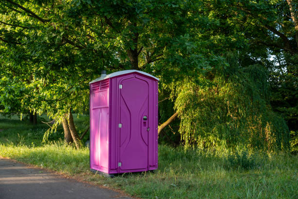 Types of Portable Toilets We Offer in Colorado City, AZ